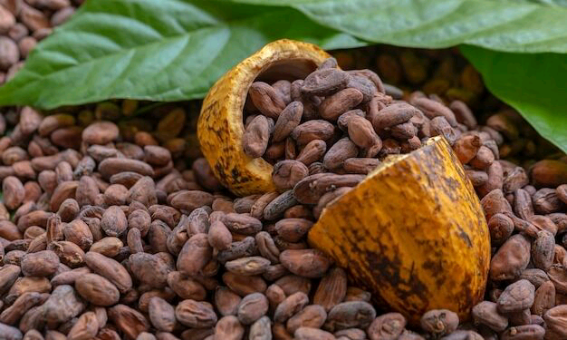 FG Aims for 500,000 Metric Tonnes of Cocoa Production in Coming Year