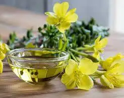 Experts Highlight Primrose Oil’s Role in Supporting Women’s Health