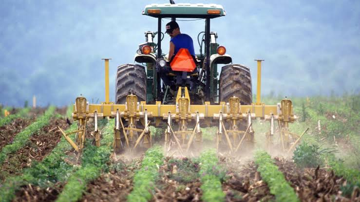 Innovative Tech Solutions Revolutionize Farming in Rural Areas.