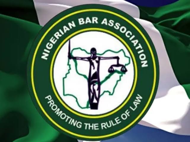 NBA Confirms Killing of Protesters in Suleja, Promises Action