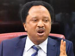 “Senator Shehu Sani Condemns Restrictions on Free Speech in Nigeria”