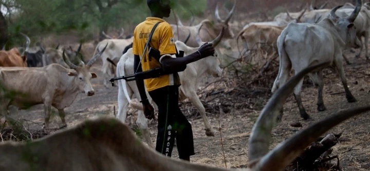 Benue: Six people have been killed in a recent herdsmen attack