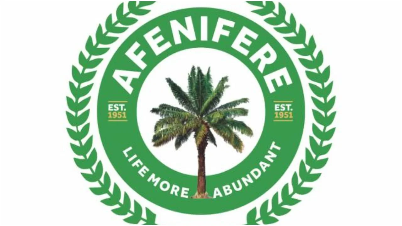 Afenifere Condemns Military Coup Proposals in Nigeria