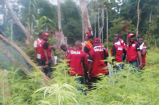 Bayelsa community in trouble as NDLEA gives 7 days ultimatum over stolen pistol