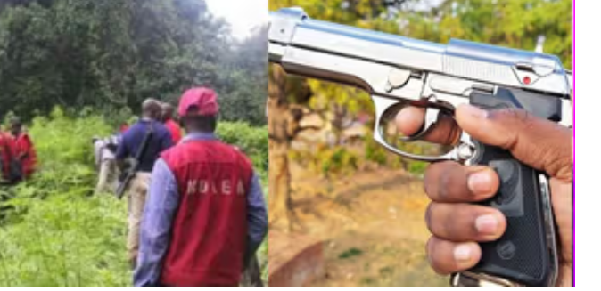 Bayelsa youths steal pistol from NDLEA officers