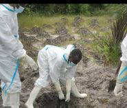 Murdered vigilantes: Police dug 2 bodies, arrest village head, others in Akwa-Ibom