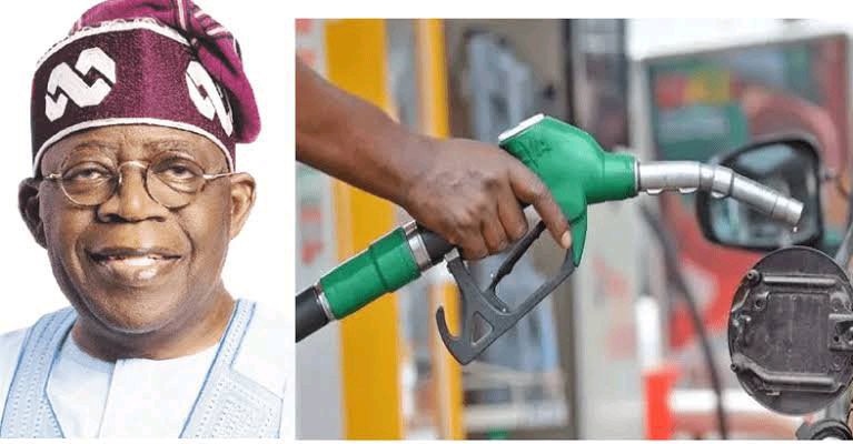 BREAKING: Tinubu Directs NNPC to Withhold Federation Dividend Payment, Divert It to the Fuel Subsidy Fund