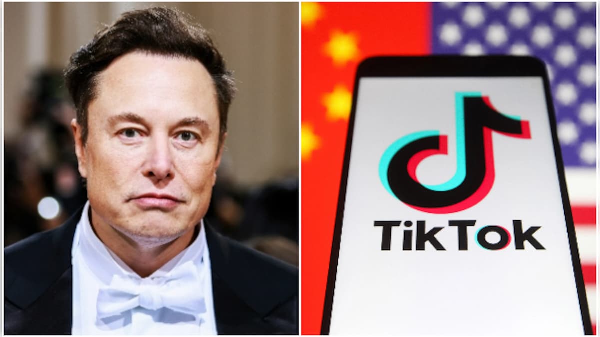 Elon Musk Sparks Debate: Should He Buy TikTok?