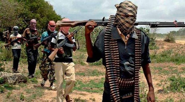 Terrorist Attack Yobe Village, Loot and Burn Homes in Devastating Raid