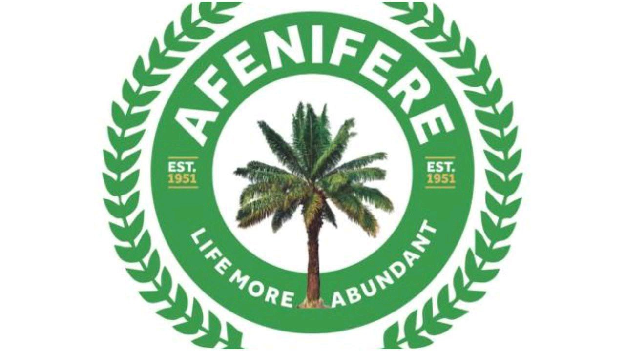 Moving Back To Days Of Abacha – Afenifere Slammed Tinubu’s Govt