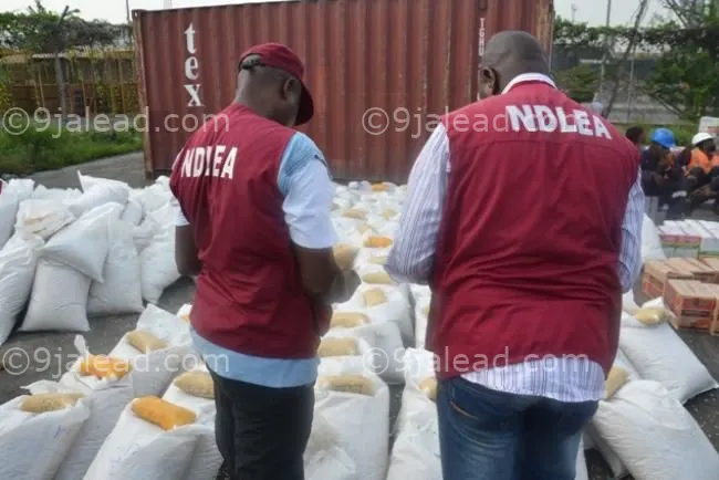 NDLEA Uncovers cross-border drug syndicates, Captures six kingpins