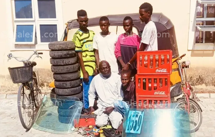 Six suspects arrested for theft, criminal trespass and burglary in Yobe