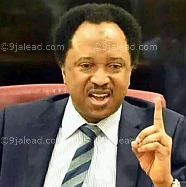 Shehu Sani Delight Response After Senators From The South South Region Endorsed The Tax Reform Bill