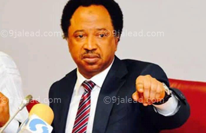 Senator Shehu Sani- Sowore Should Be Released And Not Detained